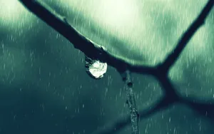 唯美雨中画面图片_4