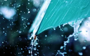 唯美雨中画面图片_7