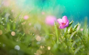 唯美雨中画面图片_8