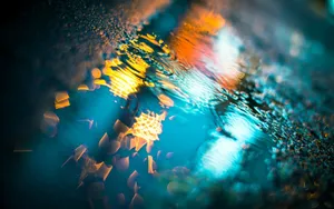 唯美雨中画面图片_9