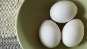 鸡蛋图片大全_9