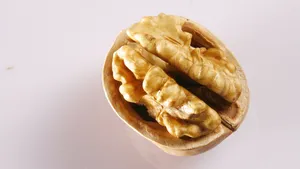 薄皮核桃图片_1
