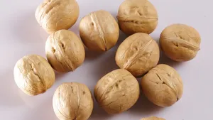 薄皮核桃图片_3