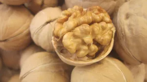 薄皮核桃图片_4