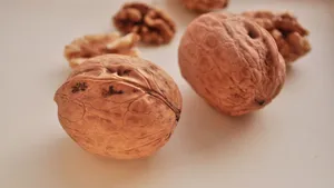 薄皮核桃图片_5