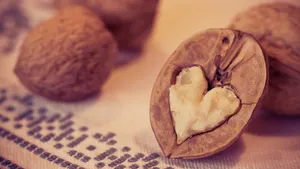 薄皮核桃图片_8