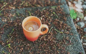 杯子图片水杯图片