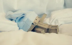 纸箱人阿楞壁纸_17