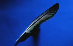 宽屏千年生物 第三辑_8