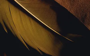 宽屏千年生物 第一辑_7