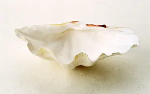 岁月烙印 第二辑_8