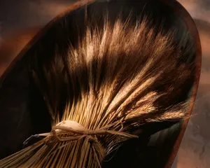 静物留影 第一辑_7