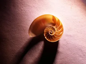 千年生物 第一辑_19