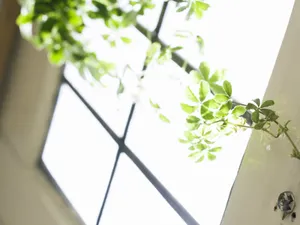 室内花饰 第11辑_5