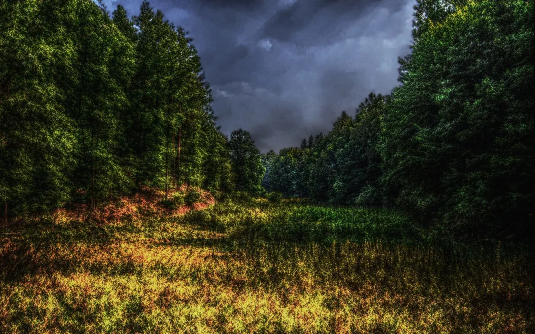 美丽优美的风景桌面壁纸第18张