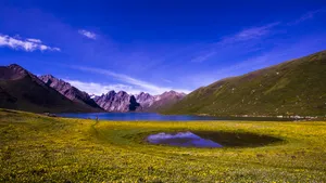 青海年宝玉则唯美风景_4
