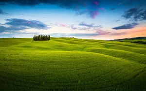 美丽的草原风景图片_6