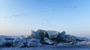 黑龙江兴凯湖冰雪风景壁纸_9