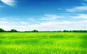 绿色震撼自然风景图片壁纸_16