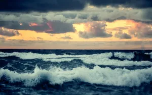 大海海洋海浪图片壁纸_5