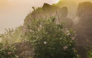 雾灵山风景区图片_5