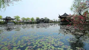 江苏无锡蠡园图片壁纸_7