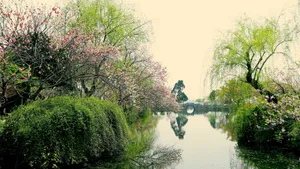 江苏无锡蠡园图片壁纸_11