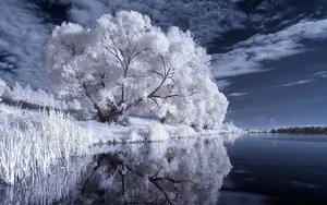 唯美风景高清大图壁纸_7