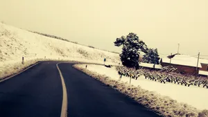 唯美道路风光壁纸_8