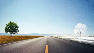 唯美道路风光壁纸_9