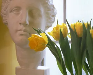 室内花饰 第六辑_13