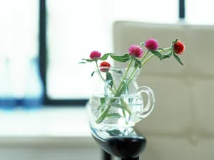 室内花饰 第五辑_7
