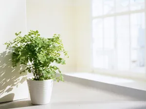室内花饰 第五辑_16