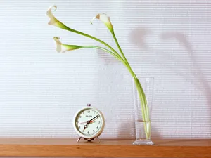 室内花饰 第五辑_19
