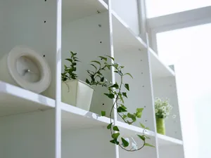 室内花饰 第四辑_1