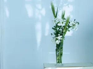 室内花饰 第三辑_8