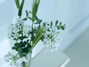 室内花饰 第三辑_9