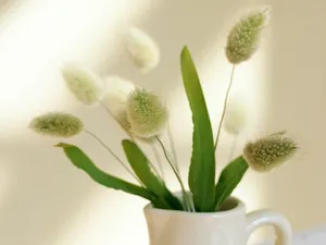 室内花饰 第二辑_1