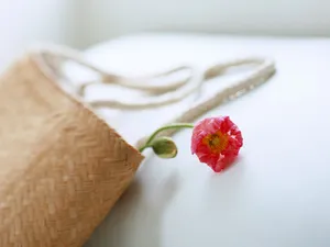 室内花饰 第二辑_11