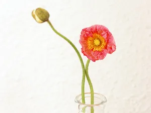 室内花饰 第二辑_16