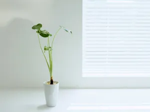 室内花饰 第一辑_11