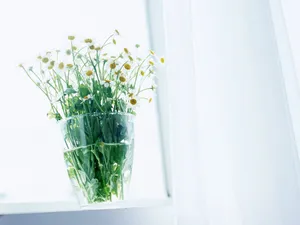 室内花饰 第一辑_18