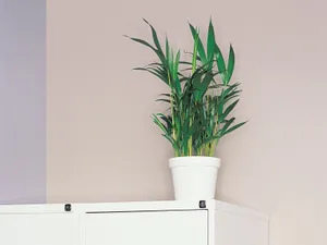 Office静物 第一辑_14
