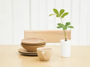 家居静物 第14辑_8