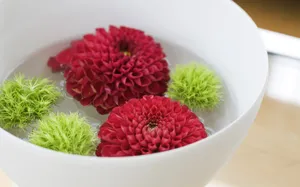 室内静物 第八辑_18