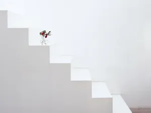 室内静物 第五辑_16