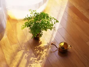 室内静物 第二辑_7