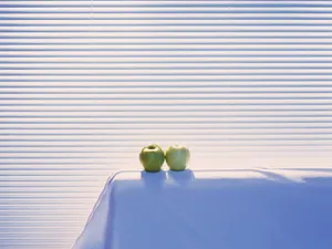 室内静物 第二辑_9
