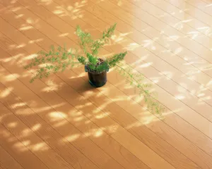 家居静物 第二辑_11