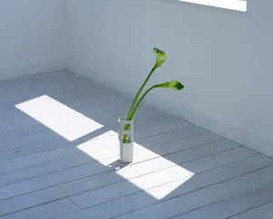 家居静物 第一辑_3